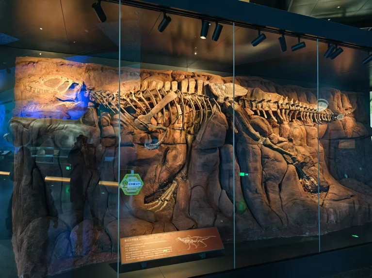 2024“打卡中国·古韵潮音——你好,京津冀!”网络国际传播活动正式启动 2024“打卡中国·古韵潮音——你好,京津冀!”网络国际传播活动正式启动