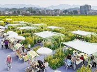 浙江杭州：花田市集热闹启幕