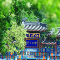 谷雨润万物，京味非遗烙绘春日风华