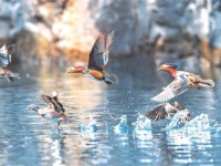 春润黔山生态美