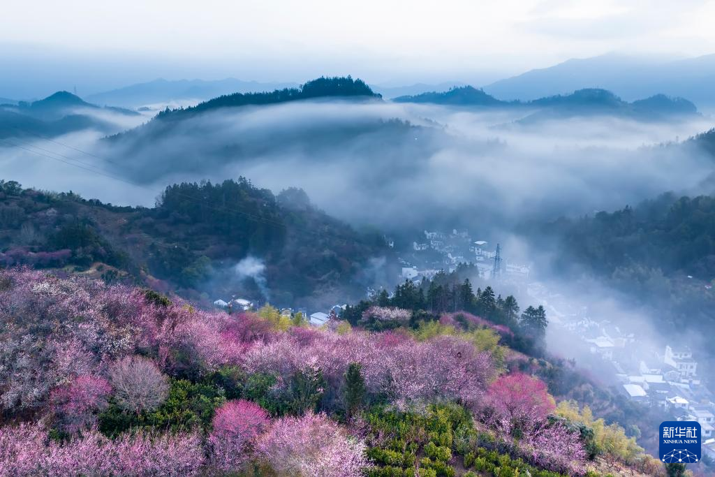 安徽黄山：莺鸣一两啭，花树数重开