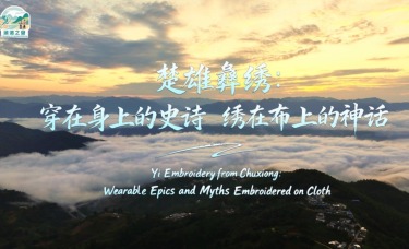 【澜湄之窗】楚雄彝绣：穿在身上的史诗 绣在布上的神话