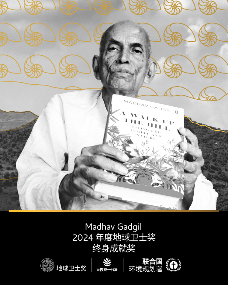 2024联合国“地球卫士奖”揭晓