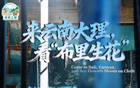 【澜湄之窗】来云南大理，看“布里生花”