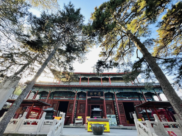 春雷乍动正惊蛰，京味儿非遗伴你迎接春日活力