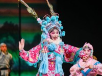 迎新春听大戏 |河南省三大剧种优秀剧目北京展演圆满落幕 河南戏曲何以出圈？