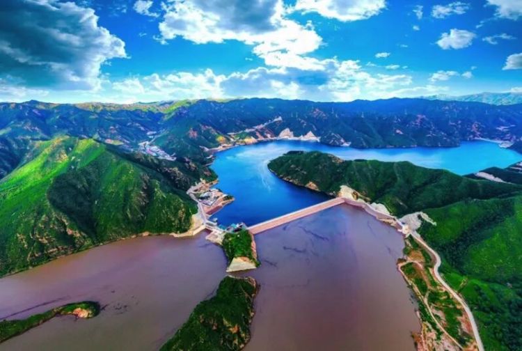 三位中国专家讲述“人人可感知的能源转型”