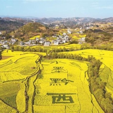 花漾贵州上春山