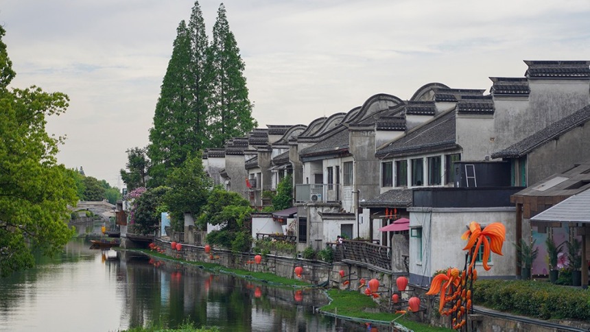 浙江嘉兴：留住水乡文脉 焕发古镇新韵