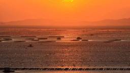 大连长海县：海洋牧场朝霞美如画_fororder_917ec159ce0b42b092000fe581ed52cb.1080x607.750x2147483647