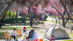 水岸露营享悠然 宁夏永宁春景入画来