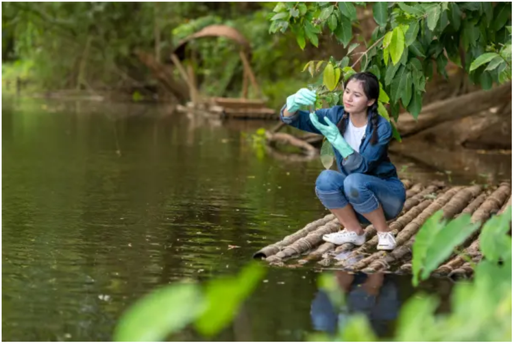 联合国教科文组织启动国际科学促进可持续发展十年（2024-2033年）