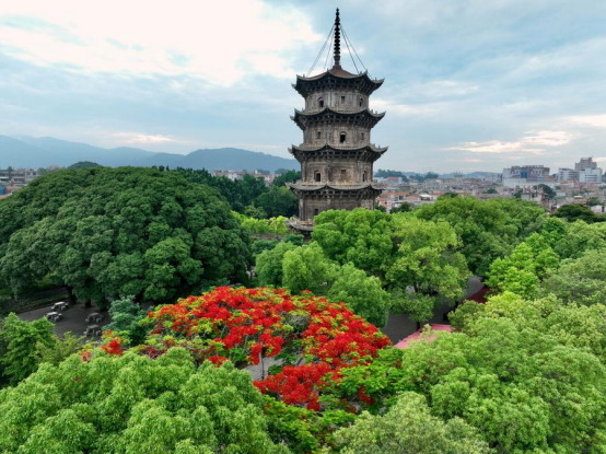 Quanzhou, Wuxi Join UNESCO Creative Cities Network_fororder_下载