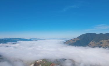 【澜湄之窗】赏云海品茶香 西双版纳章朗村邀您开启冬日温暖旅居_fororder_8374db24-d2e1-4fc5-bc3b-fb049592bdf9