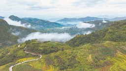 福建政和：云上梯田 “吃上文旅饭”