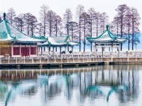 武汉东湖雪景美如画