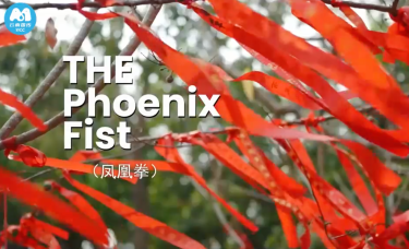 【澜湄之窗】傣族武术为啥叫“凤凰拳”？_fororder_8e1c8f09-ce9b-4843-b603-b191f9d927da