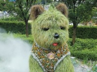 “一猫一狗”让更多人爱上上海