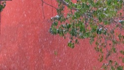 河南郑州：落雪覆飞檐 这份中式浪漫藏不住了