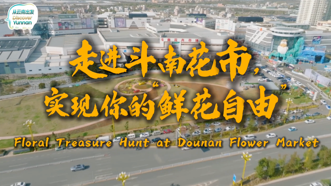 【从云南出发】走进斗南花市，实现你的“鲜花自由”！_fororder_42af21f928605faaa6867587de784be7