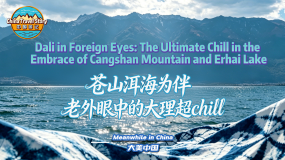 【“中国游记”第二季㊸】苍山洱海为伴 老外眼中的大理超chill