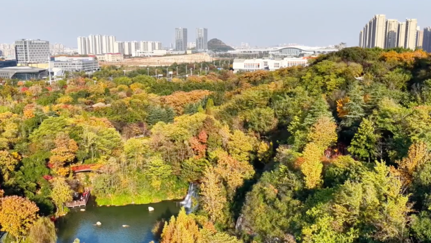 生态修复天花板！徐州珠山宕口从“城市伤疤”到飞瀑红枫，韩国博主实名惊叹_fororder_2d9487d4-29a6-48b1-aa98-5b1deb5b4a06