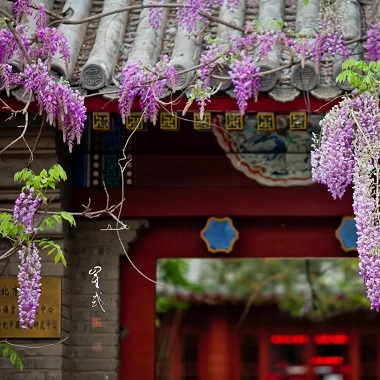 秋分时节防秋燥 这个京味非遗很养生