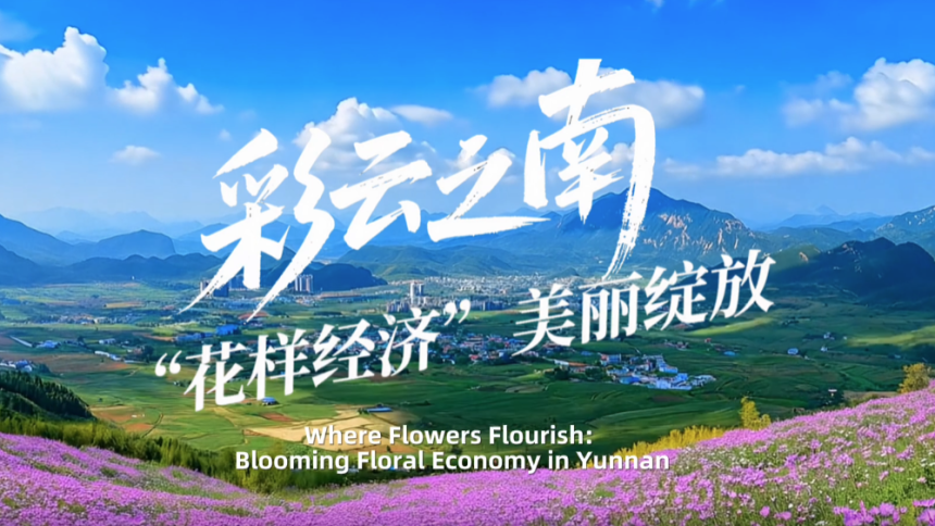 【从云南出发】彩云之南 “花样经济”美丽绽放_fororder_微信图片_〉〇〉「-〈〉-〈【_〇』「〈〈〉_』《〈
