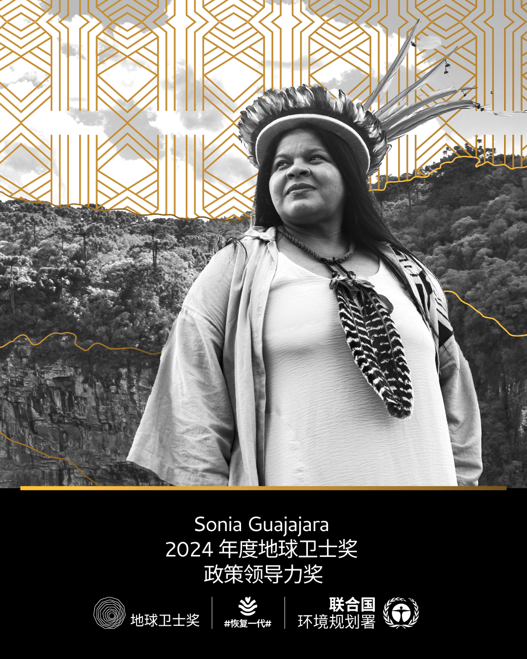 2024联合国“地球卫士奖”揭晓