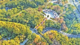 无锡：斑斓初冬