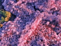 立春“加载”完成！贵州即将进入“高饱和度”的季节