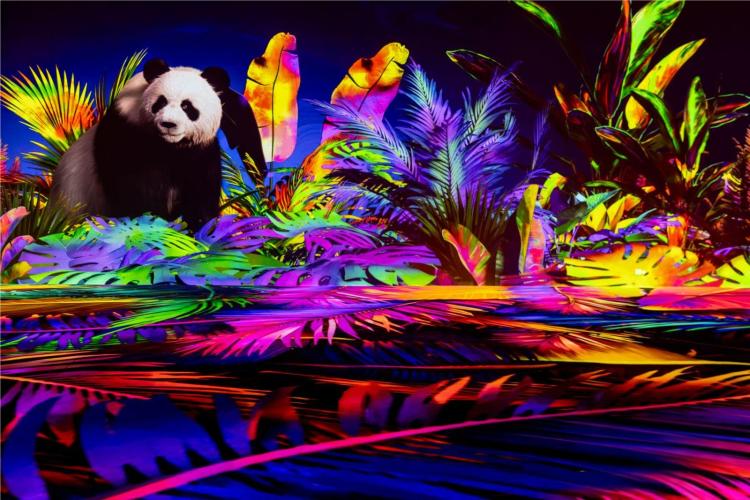 [Typical Case] Sichuan, China · Grand Tourism Show “Panda's Return”_fororder_熊猫归来光影厅5