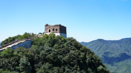 秋染京华，赴一场跨越山海的文明对话