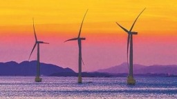 福建平潭：岚岛逐绿 生活更美