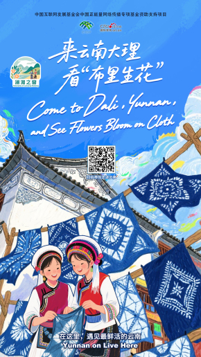 【澜湄之窗】来云南大理，看“布里生花” （海报）