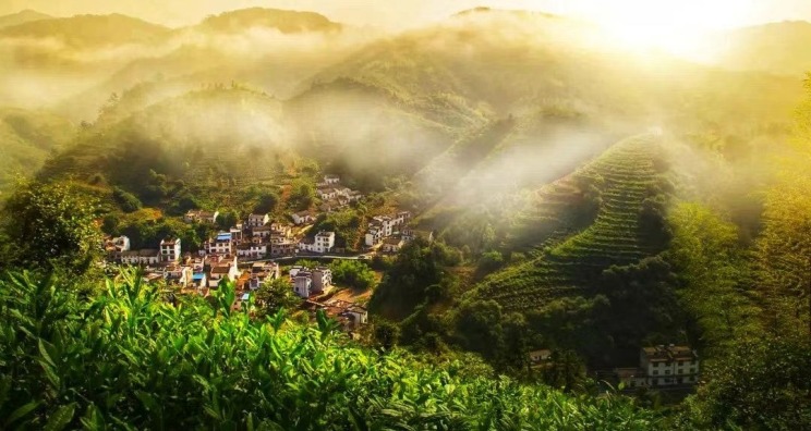 黄山毛峰_fororder_黄山毛峰核心产区茶谷——富溪乡风光