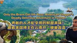 鲜甜美味！跟着美国博主在云南开“蜂巢盲盒”