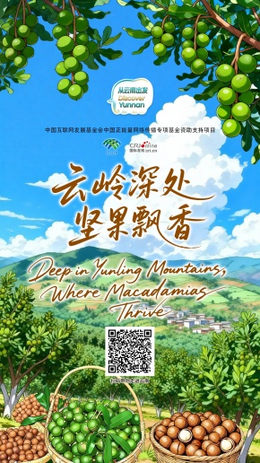 【从云南出发】云岭深处 坚果飘香（海报）