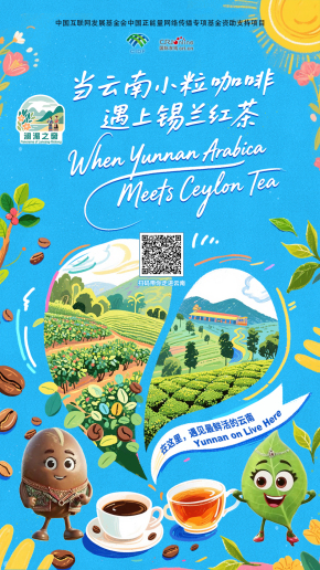【澜湄之窗】当云南小粒咖啡遇上锡兰红茶（海报）