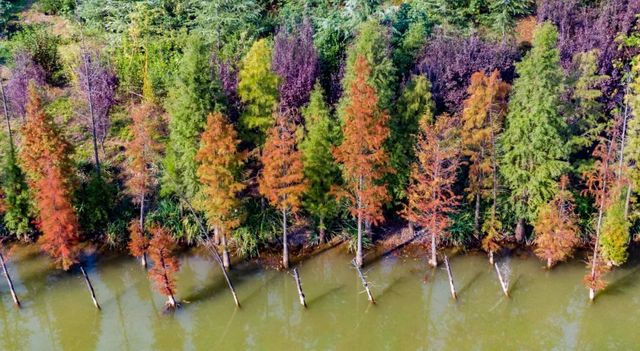 藏在洛阳的“小巷人家” 总有一处能打动你 藏在洛阳的“小巷人家” 总有一处能打动你