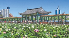 13处特色荷花展区接力“花开北京”