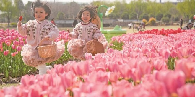 浙江嘉兴经开区姚家荡公园春暖花开