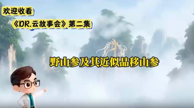 《DR.云故事会》教您分辨野山参与移山参_fororder_5bb73ec5-569c-4c4f-b1d5-89e1fa0ed231