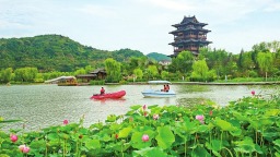 山西吕梁如意湖公园：荷花竞相绽放