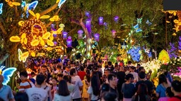 南宁：税收助力夜经济，点燃邕城烟火气