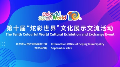 第十届“炫彩世界”文化展示交流活动