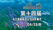 点播_fororder_210.02