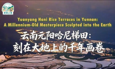 【澜湄之窗】云南元阳哈尼梯田：刻在大地上的千年画卷