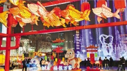 浙江杭州：多彩花灯映武林