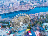 沈阳：春意盎然